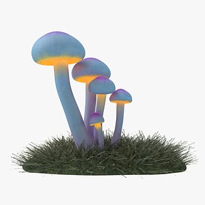 Glowing Mushrooms