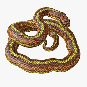 3D Yellow Snake - Rigged model
