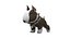 Bull terrier