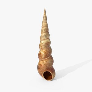 Turret Shell