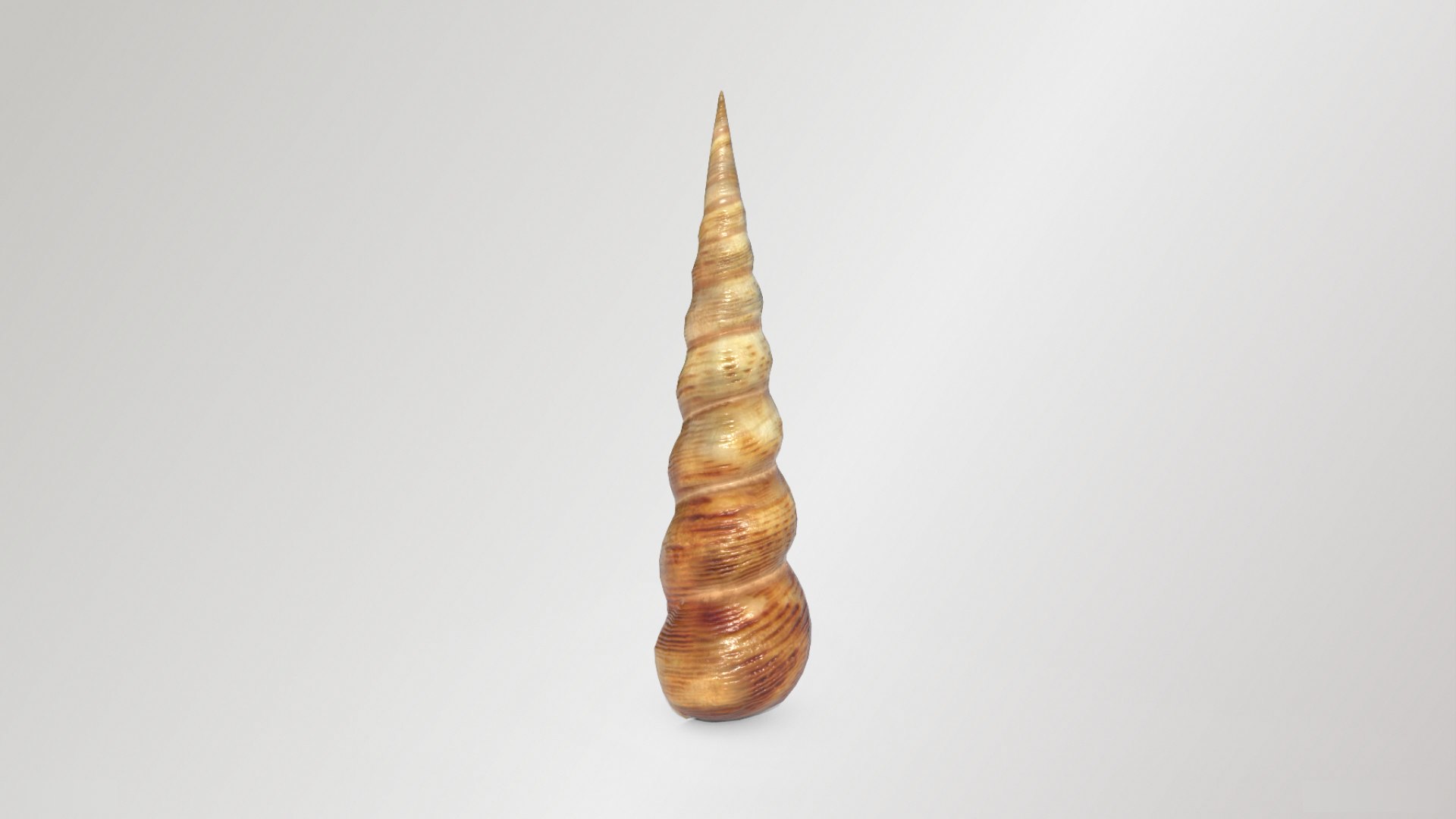 3D model Turret Shell https://p.turbosquid.com/ts-thumb/v5/xoCdOs/W7/2/png/1723212646/1920x1080/fit_q87/1e704541d06203166f5185ab6e0c383f259c7f8f/2.jpg