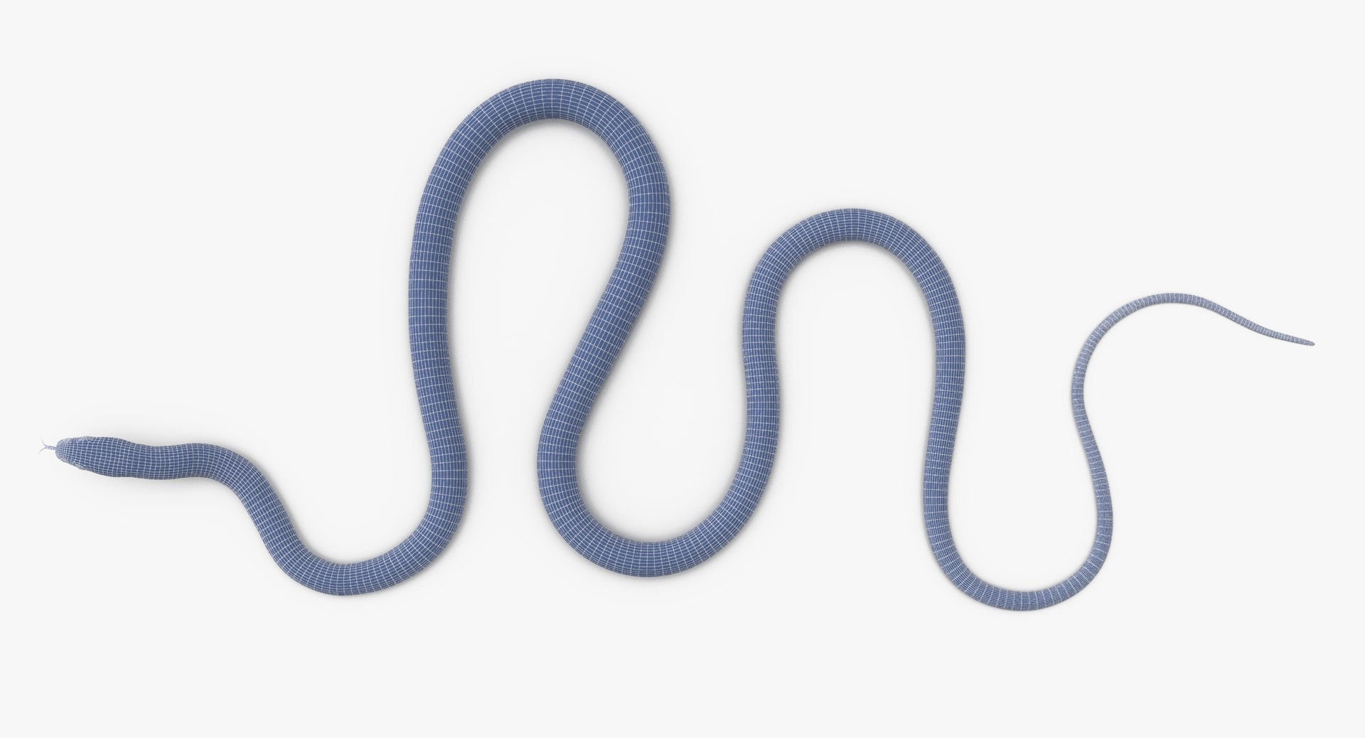 3d Model Green Snake 01