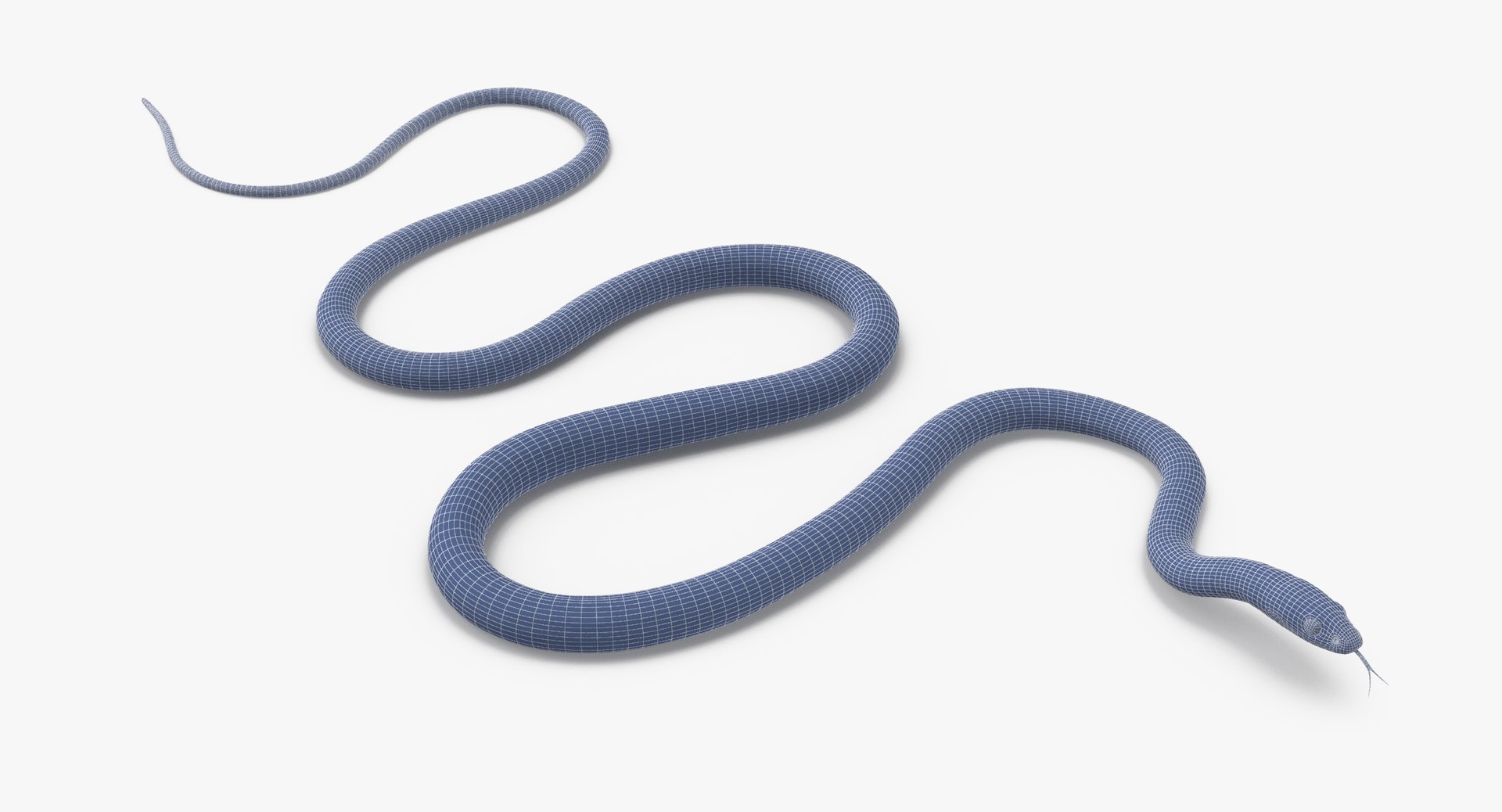 3d Model Green Snake 01
