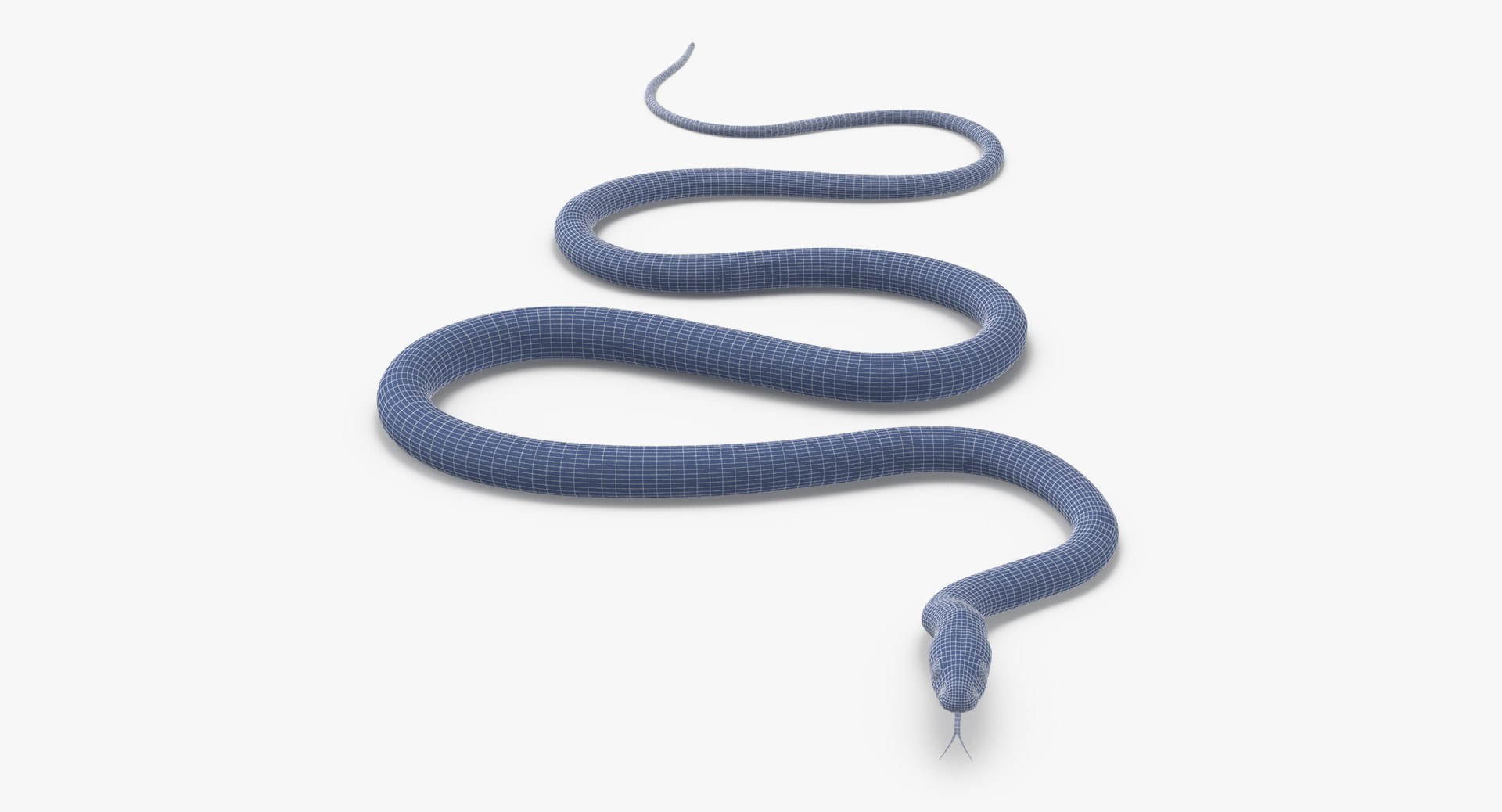 3d Model Green Snake 01