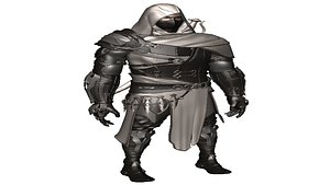 Man Assassin Fighter