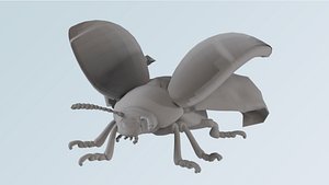 insect