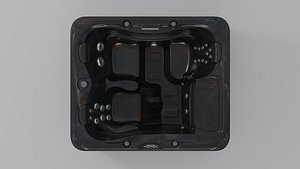3D Sundance Spas Dover model