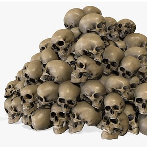 Human Realistic Skulls Lowpoly Set model