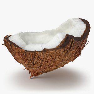 Half Coconut 02- 3D Scanned