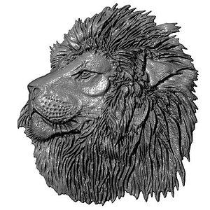 Lion Head Relief