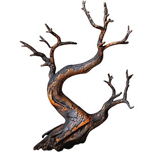 Decorative Rustic Old Twisted Weathered Dry Tree Branches 3D model