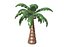 3D Palm Tree