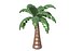 3D Palm Tree