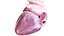 3D Human Heart Collection Animated