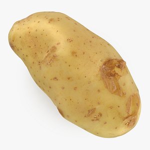 Potato 01 model