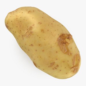 Potato 01