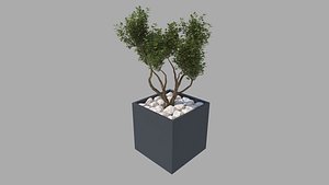 tree model