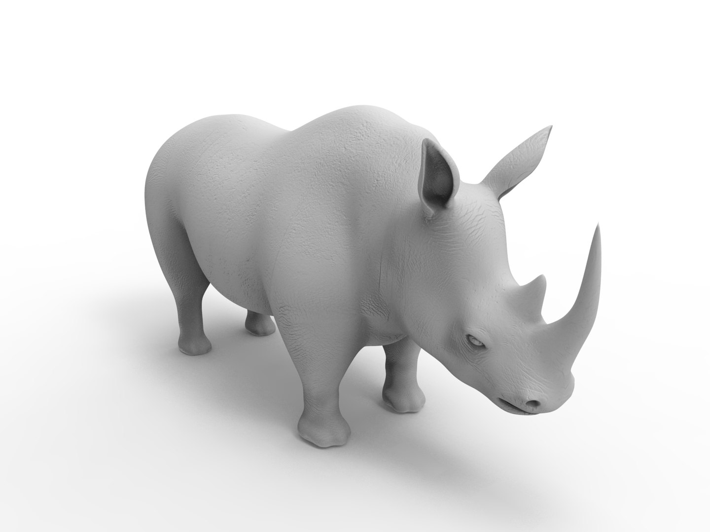 Realistic Rhino Rigged 3D Model - TurboSquid 1268914