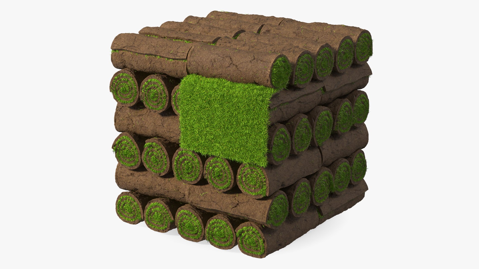 Lawn Turf Rolls Fur Collection 3D model preview