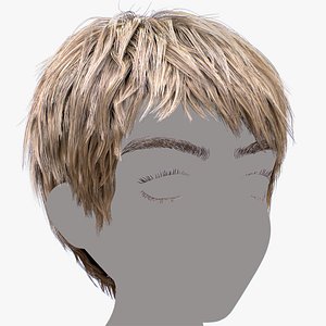 Boy Hair 3D model