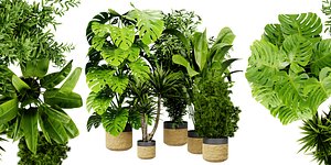 3D Collection plant vol 528 - blender model model