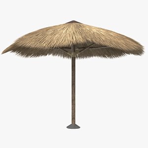 Thatch Umbrella