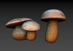 3D Mushrooms Boletus luridus Low-poly model