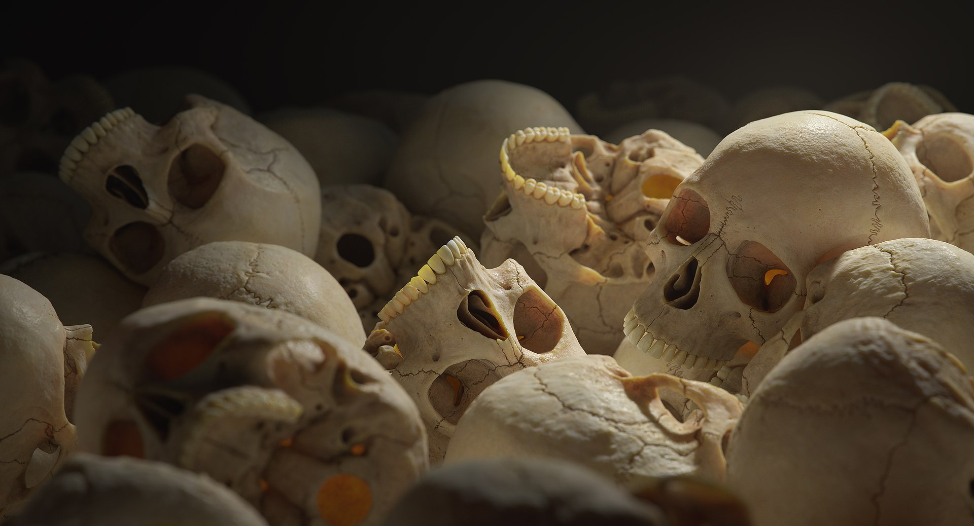 3D female skull bone https://p.turbosquid.com/ts-thumb/v7/yRrME1/ERPdWxyP/z_zmore_001/png/1549407046/1920x1080/fit_q87/096327f87e61a1cb653ac172a8309192b9f9add7/z_zmore_001.jpg