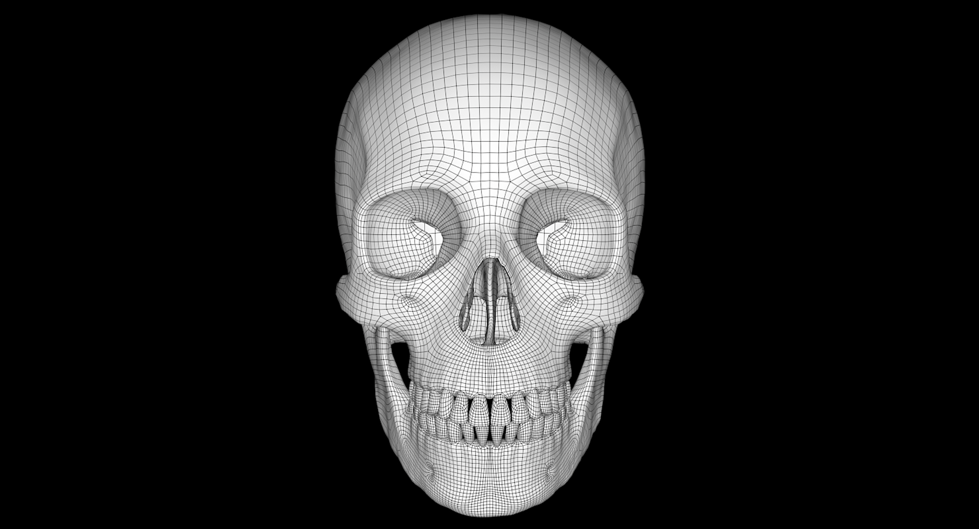 3D female skull bone https://p.turbosquid.com/ts-thumb/v7/yRrME1/pICeGHCu/anim_wire/png/1549407368/1920x1080/turn_fit_q99/05a5213152992ed008a29465ed25f87cac5a4a5c/anim_wire-1.jpg