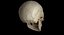 Skull Female