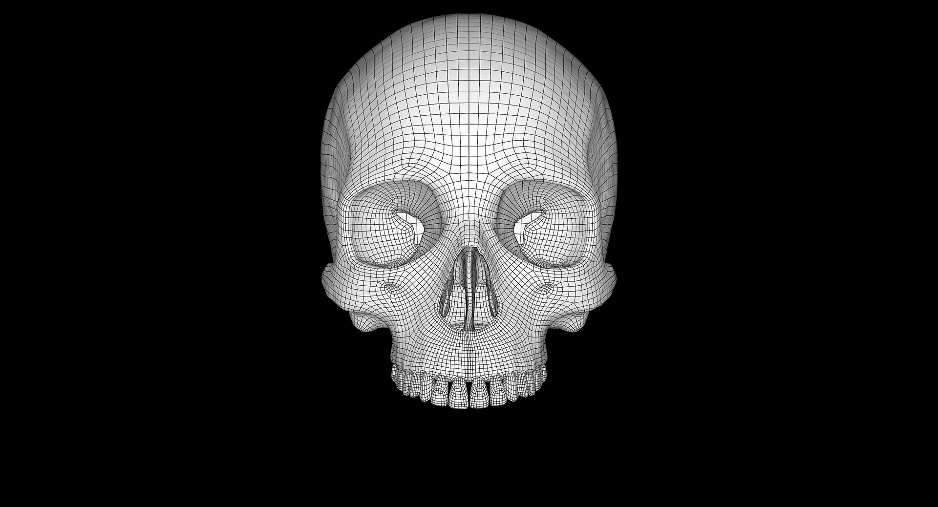 3D female skull bone https://p.turbosquid.com/ts-thumb/v7/yRrME1/yWHv0KZZ/wires_a_0001/png/1549407046/1920x1080/fit_q87/5acbc32012176306243fdf8f038674e9112d387d/wires_a_0001.jpg