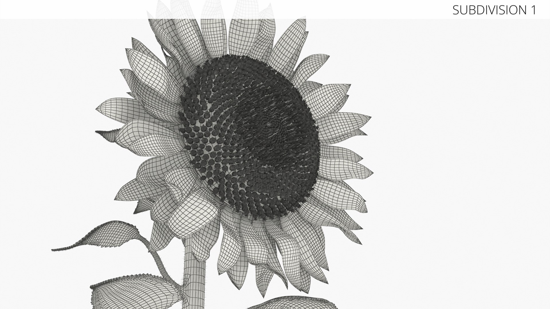 3D model Blooming Sunflower Stem Tall Fur https://p.turbosquid.com/ts-thumb/v8/DIENFA/0m/blooming_sunflower_stem_tall_fur_009/jpg/1761009035/1920x1080/fit_q87/db1c215ae40270df90d6fc7c938c651adb17c99d/blooming_sunflower_stem_tall_fur_009.jpg