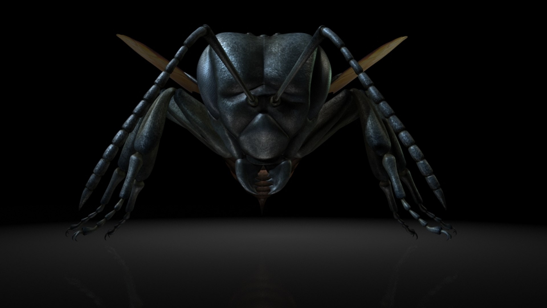 killer bees 3D https://p.turbosquid.com/ts-thumb/v8/HG56a9/5OkbZbto/3/jpg/1536113795/1920x1080/fit_q87/6fd75b99f924501f5e02daac824e8583fd613e5f/3.jpg