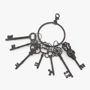 Skeleton Keys Bunch Steel