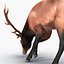 3d elk eating pose fur model