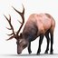 3d elk eating pose fur model