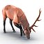 3d elk eating pose fur model