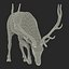 3d elk eating pose fur model