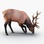 3d elk eating pose fur model