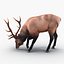 3d elk eating pose fur model