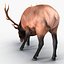 3d elk eating pose fur model