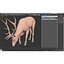3d elk eating pose fur model