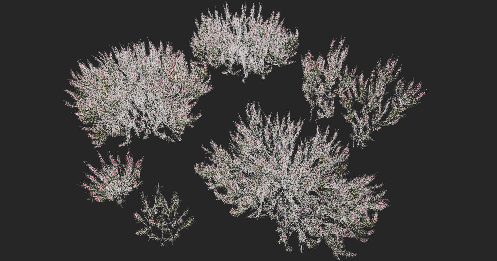 Heather plant 3D model https://p.turbosquid.com/ts-thumb/v8/SJWjHN/sZ/wire/png/1739080080/1920x1080/fit_q87/75a83da29080cd79bc3c277d592accae2183054f/wire.jpg