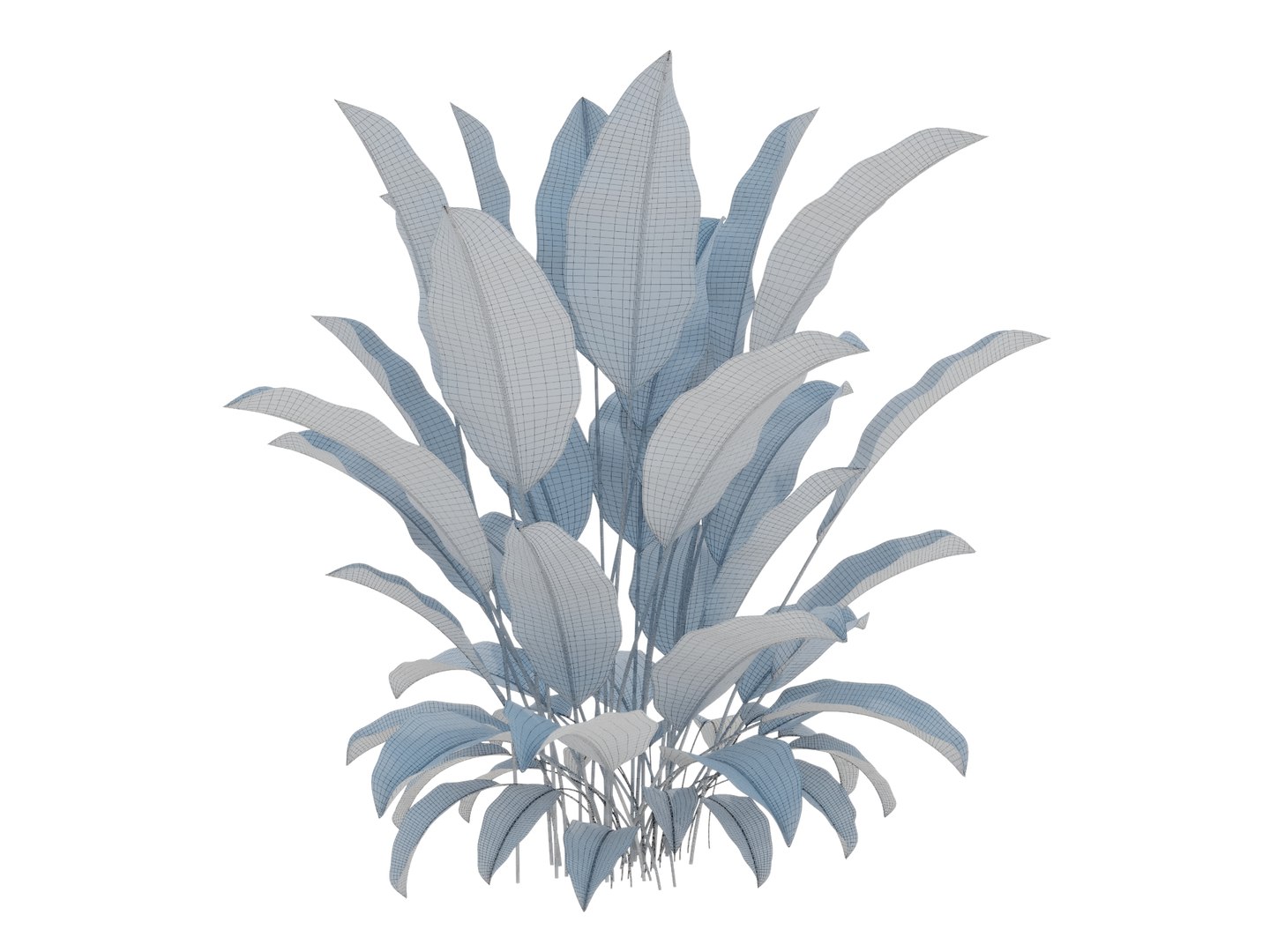 3D MARANTA CHARUTO CALATHEA LUTEA https://p.turbosquid.com/ts-thumb/v8/bW3zY2/Ni/marantacharutocalathealutea2024render02wire/jpg/1711982995/1920x1080/fit_q87/9697aa134a3b7702aec342a9480abaaf141857f2/marantacharutocalathealutea2024render02wire.jpg