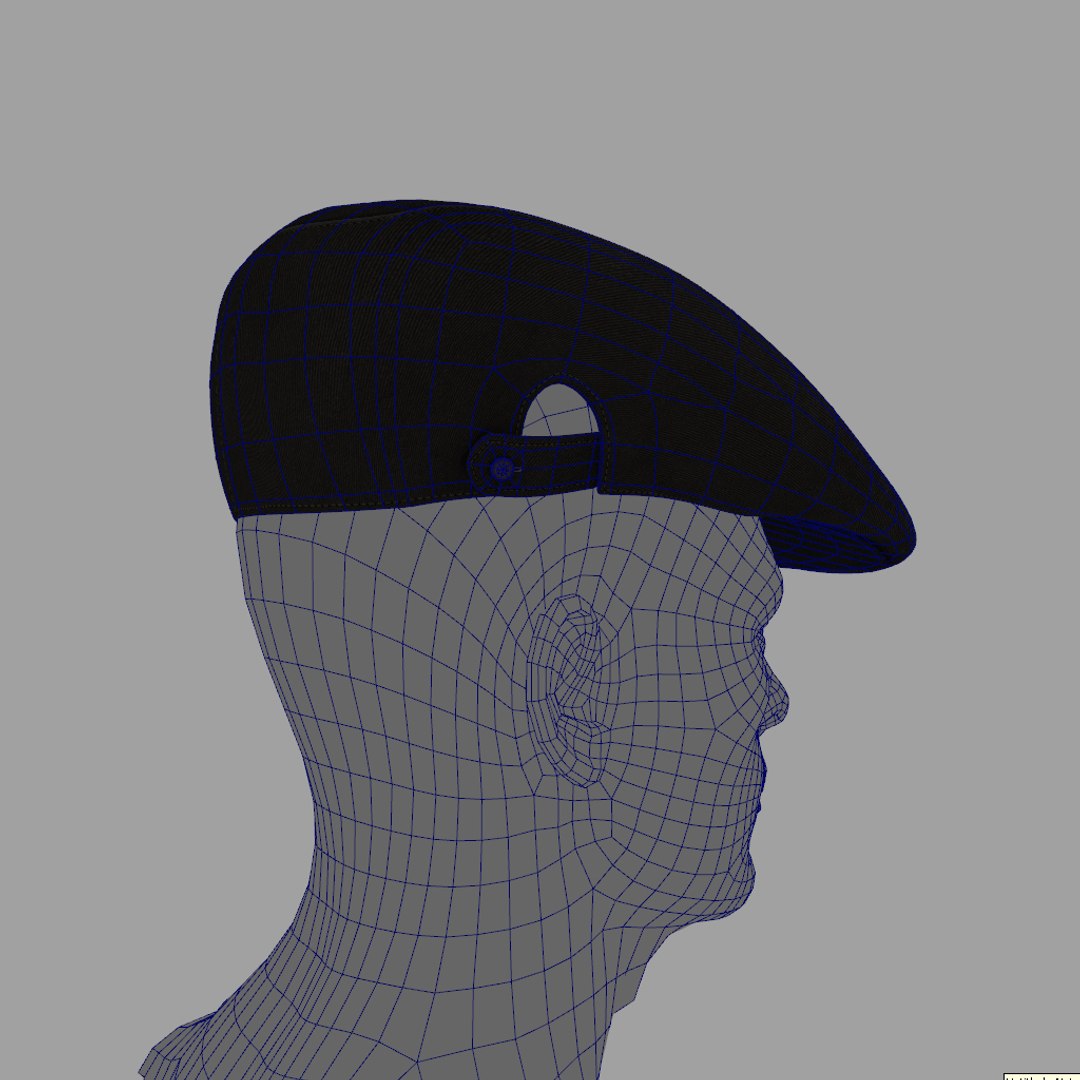 3d Model Cap