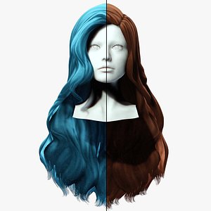 Wavy Long Hair