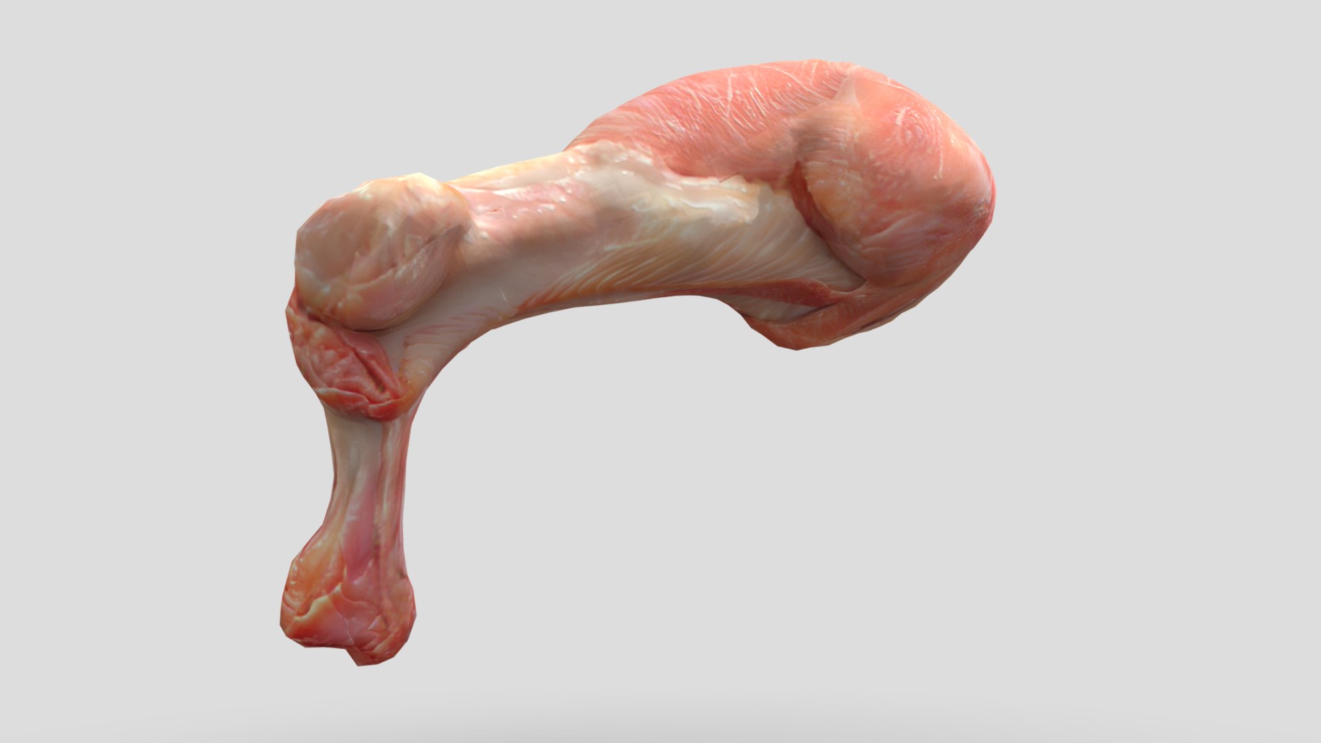 Raw Chicken Leg 3D Model - TurboSquid 2217162