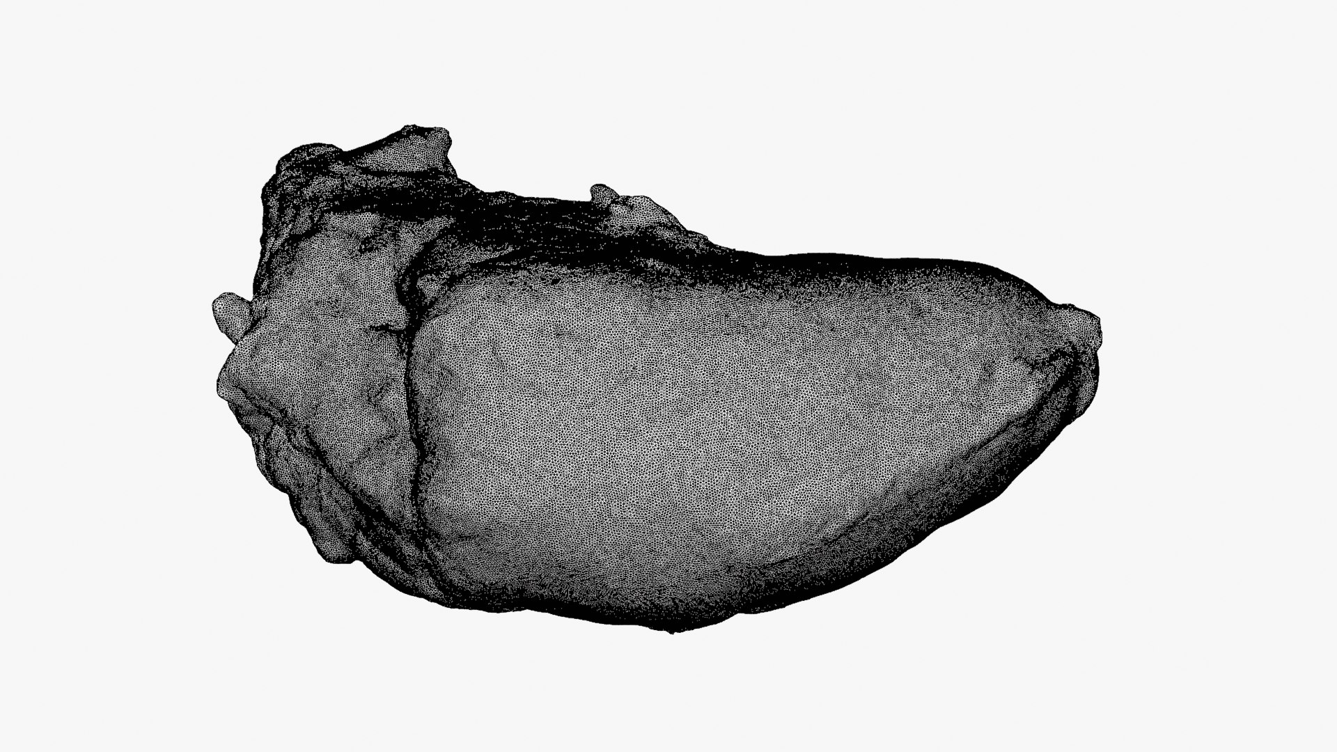Chicken Heart 02 - Raw Scan 3D model https://p.turbosquid.com/ts-thumb/v9/Eo1Nwk/9o/chickenheart02_d0010/png/1765131511/1920x1080/fit_q87/3dcd43c1cdd84e9a258d44d321db06586c20fe19/chickenheart02_d0010.jpg