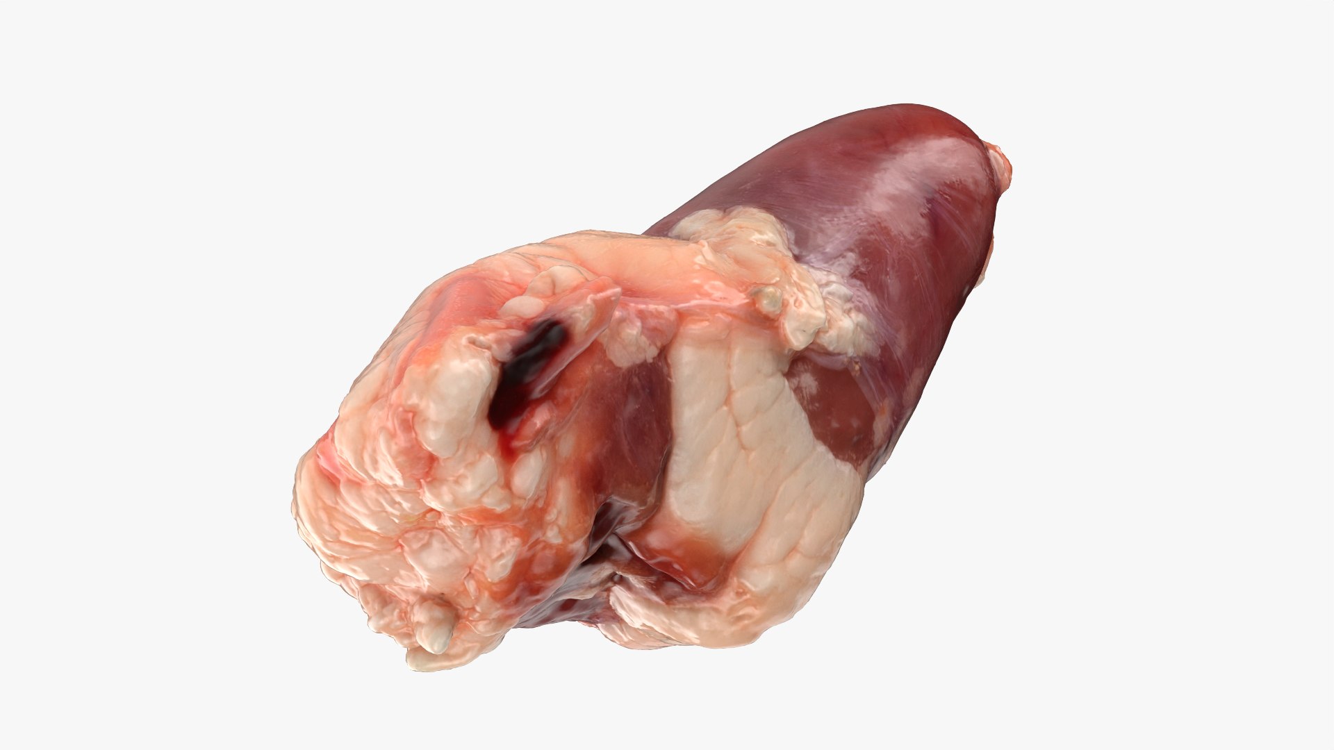 Chicken Heart 02 - Raw Scan 3D model https://p.turbosquid.com/ts-thumb/v9/Eo1Nwk/E6/chickenheart02_0011/png/1765131505/1920x1080/fit_q87/8d5ee85e8dcf88c7e99e6e29cf2708b9785ba341/chickenheart02_0011.jpg