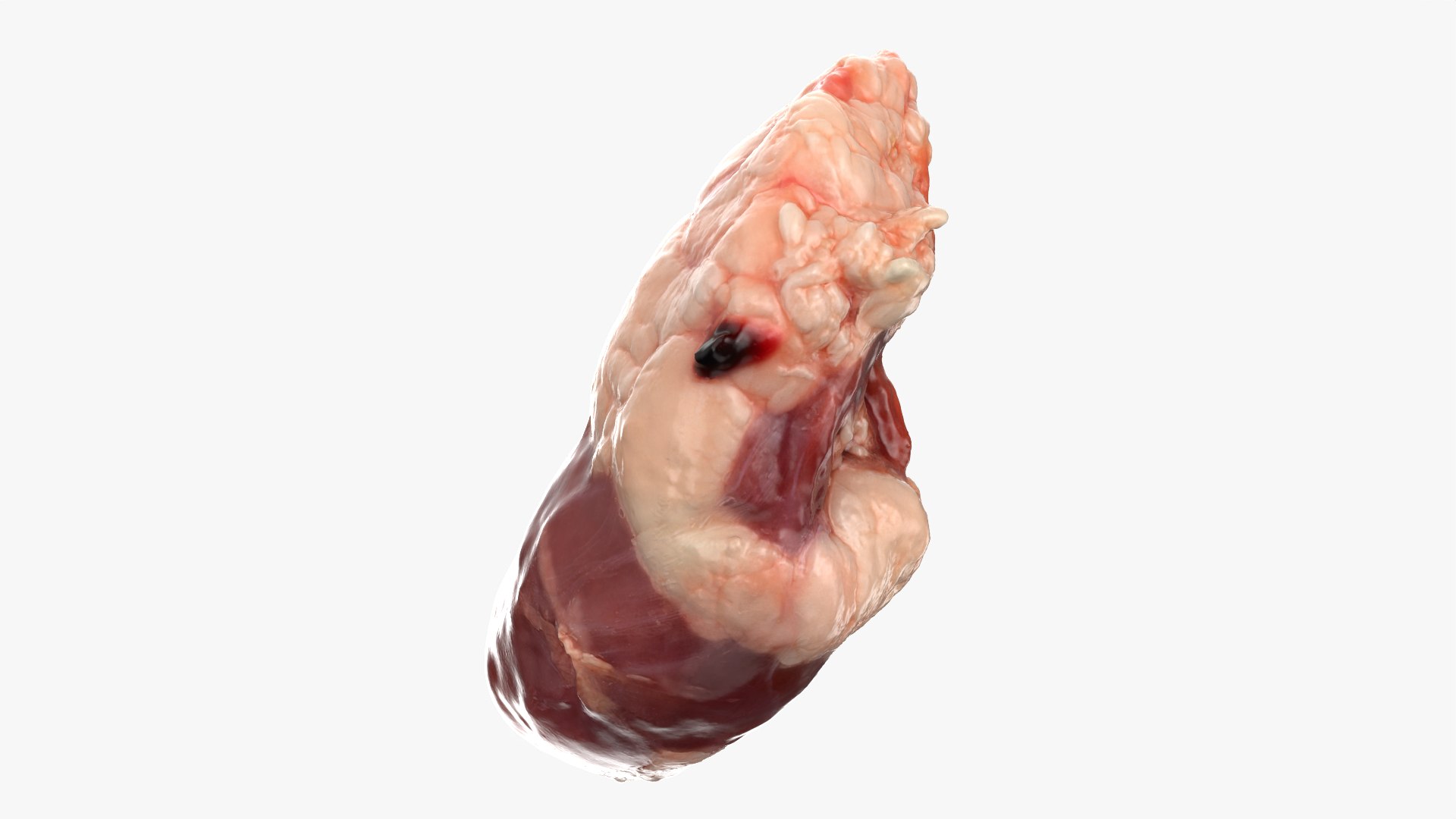Chicken Heart 02 - Raw Scan 3D model https://p.turbosquid.com/ts-thumb/v9/Eo1Nwk/Ld/chickenheart02_0007/png/1765131496/1920x1080/fit_q87/14d0e3da1f1a7394c3194607de0f636e6391cfa1/chickenheart02_0007.jpg